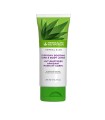 Herbal Aloe Hand- und Körperlotion