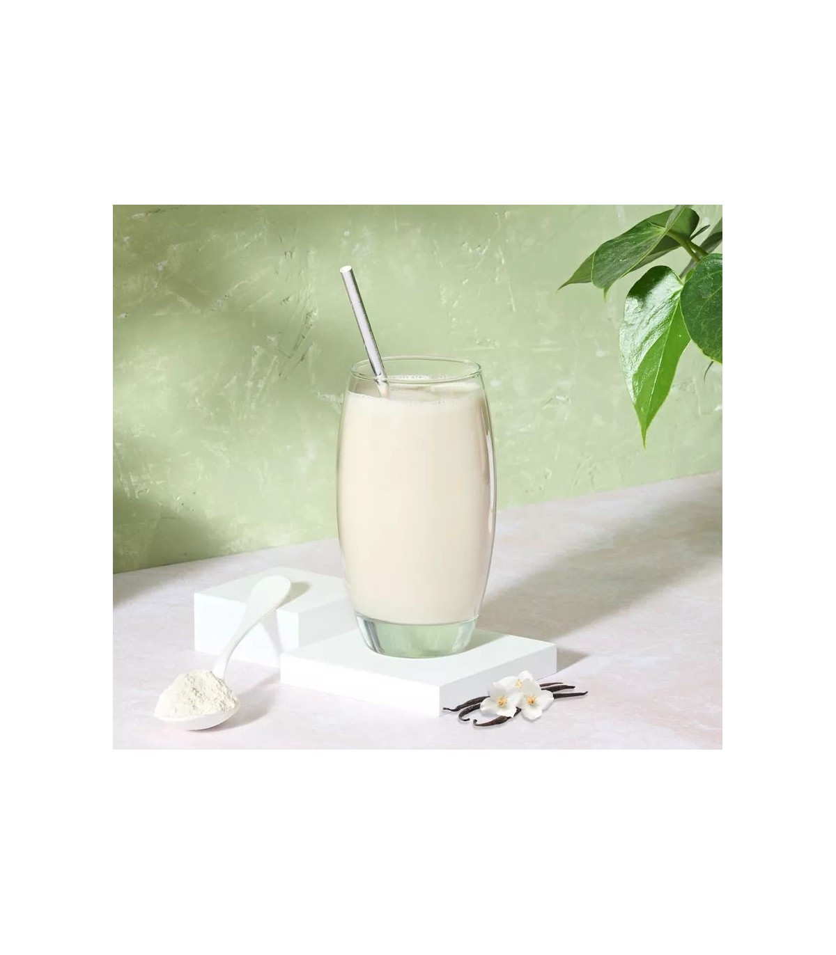 Wellness Programm