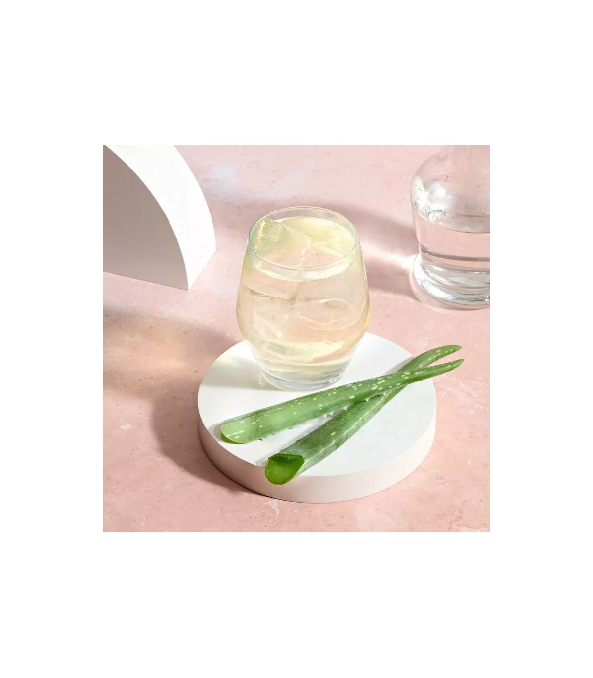 Wellness Programm