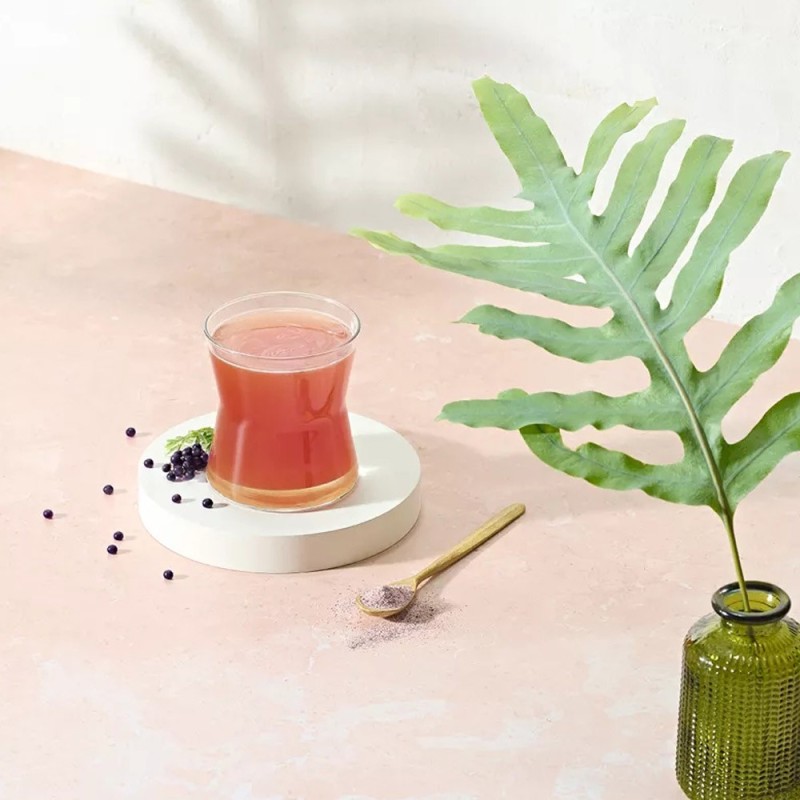 Immune Booster Wild Berry - Herbalife Selbständiges Mitglied Schweiz