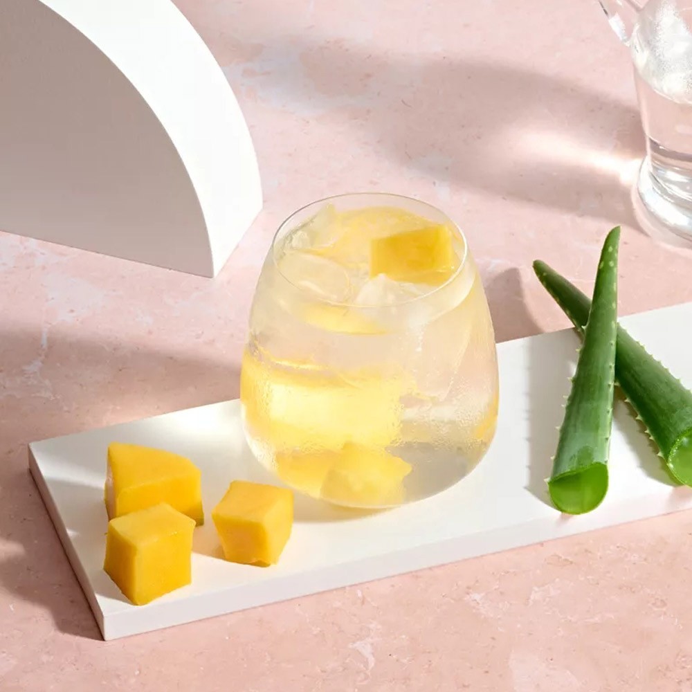 Darm-Wellness-Programm