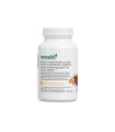 Herbalife Instant-Kräutergetränk mit Tee-Extrakten Mango