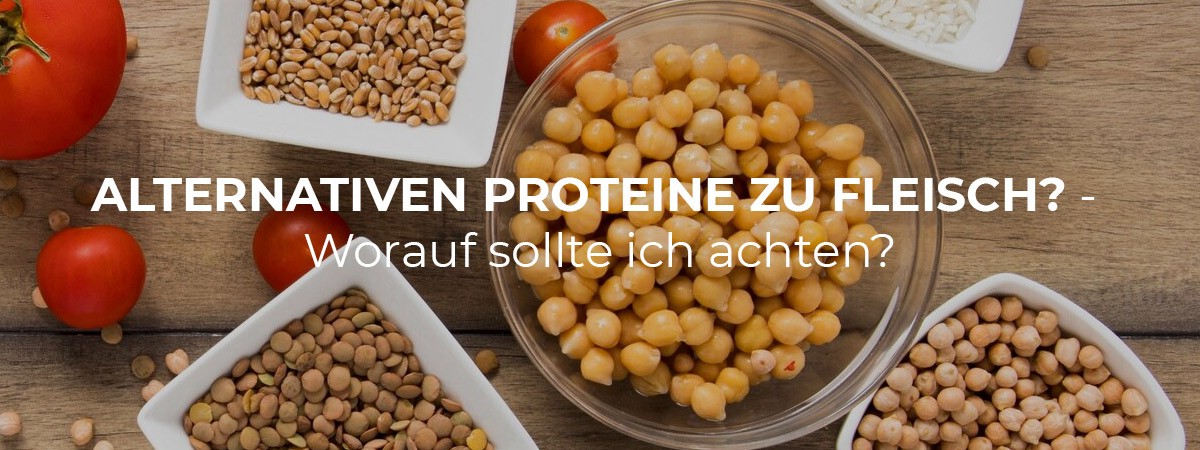 Alternativen Proteine zu Fleisch? Worauf sollte ich achten?